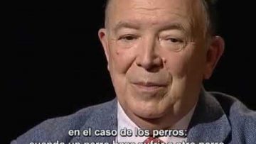 JEAN PIERRE CHANGEUX – ¿Por qué disfrutamos la belleza?